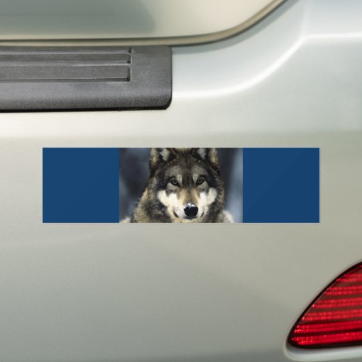 Wolf Bumper Sticker | Zazzle