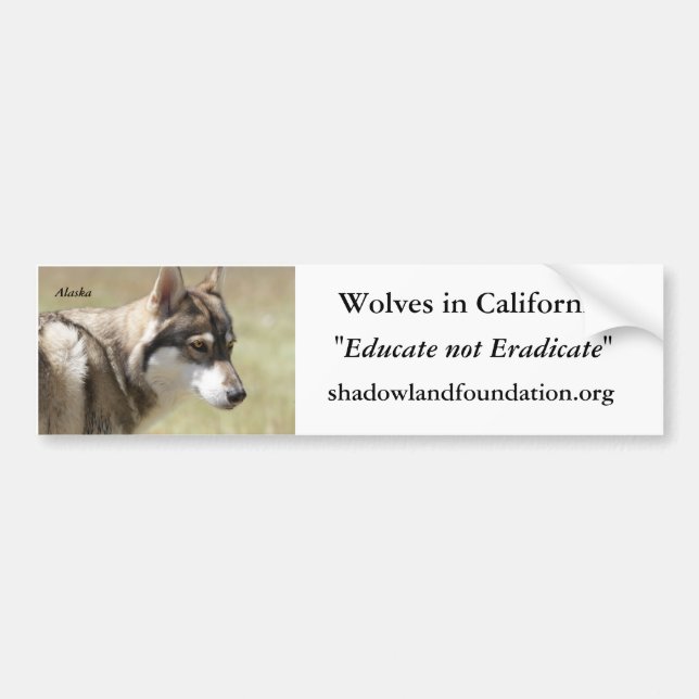 Wolf Bumper Sticker (Front)