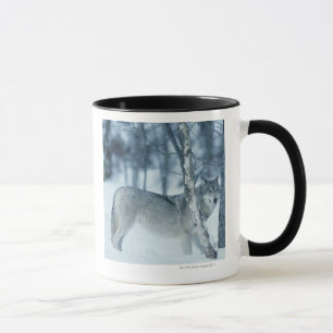 Wolf (Canis lupus) during Winter Mug