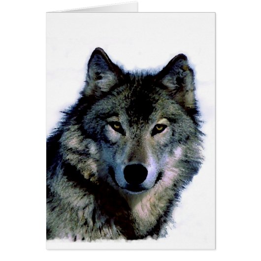 Wolf Cards (Front)