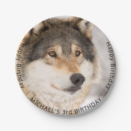 Wolf cute 3rd birthday party boy paper plates