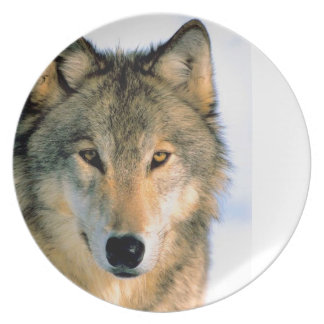 Wolf Decor Plates | Zazzle