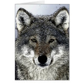 Wolf Eyes (Front)