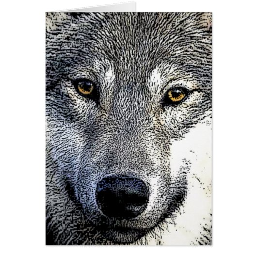 Wolf Eyes Artwork Cards (Front)