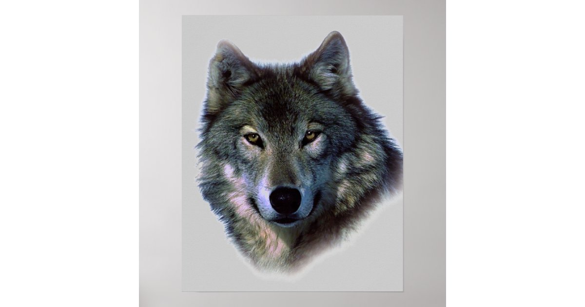 Wolf Eyes Artwork Poster Print | Zazzle
