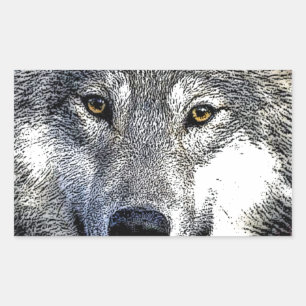Wolf Eyes Artwork Rectangular Sticker