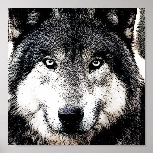 Wolf Eyes _ Black  White Wild Animal Artwork Poster