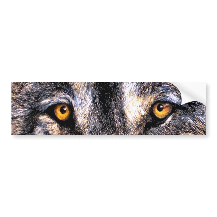 Wolf Eyes Bumper Sticker