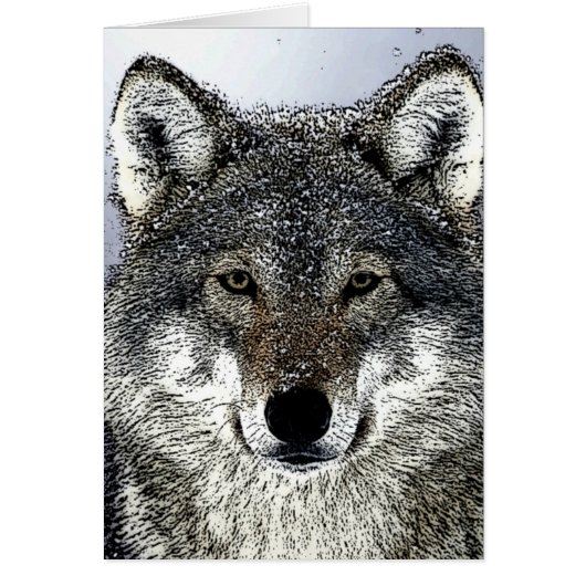 Wolf Eyes Cards (Front)
