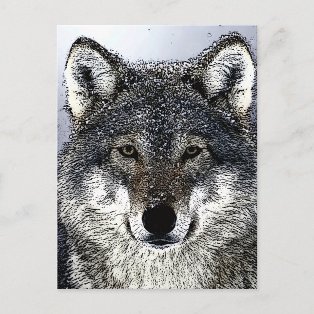 Wolf Eyes Holiday Postcard (Front)