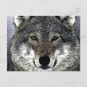 Wolf Eyes Postcard