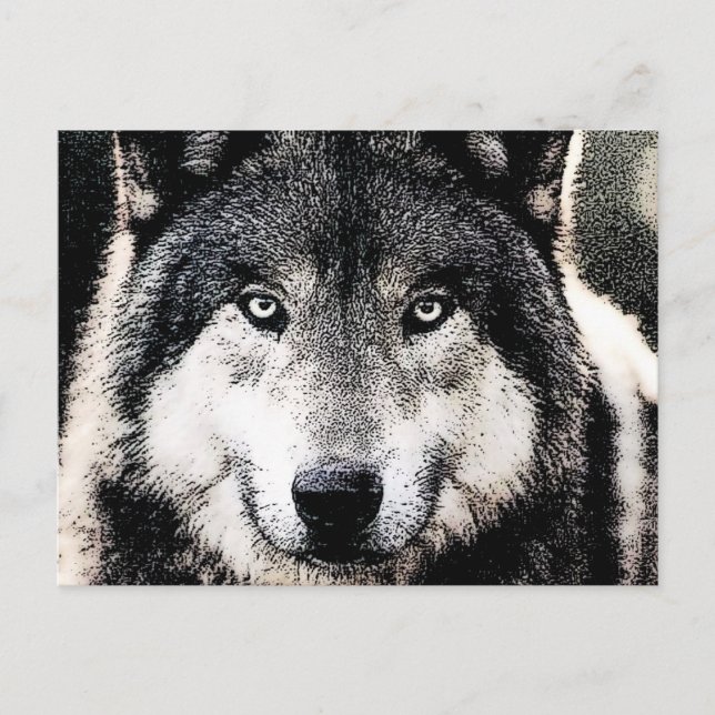 Wolf Eyes Postcard (Front)