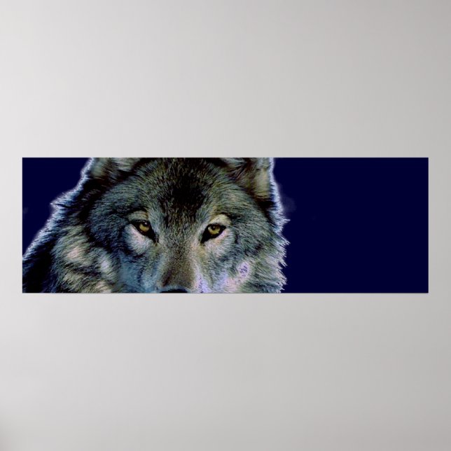 Wolf Eyes Poster (Front)