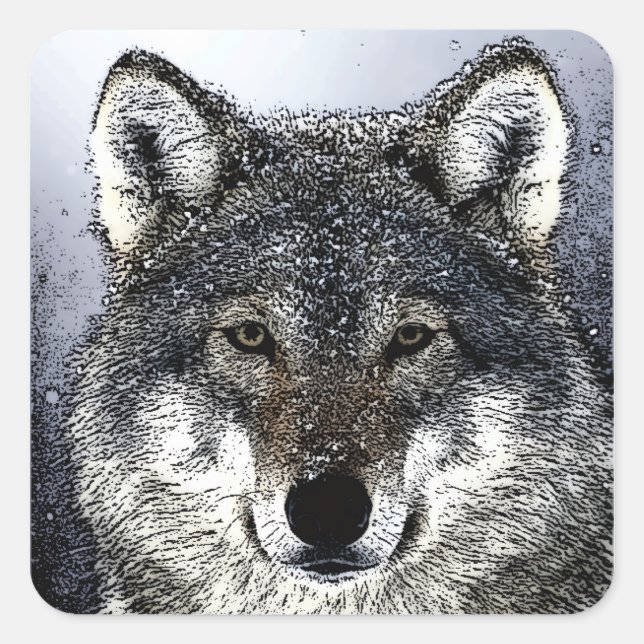Wolf Eyes Square Sticker (Front)