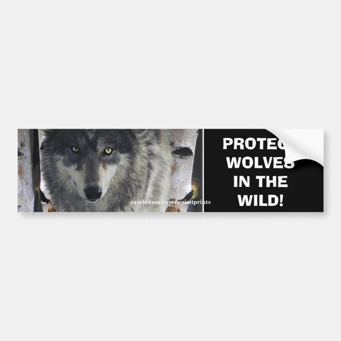 Northern Lights Wildlife Wolf Centre T Shirts, Northern Lights