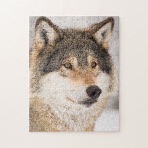 Wolf face cute  jigsaw puzzle