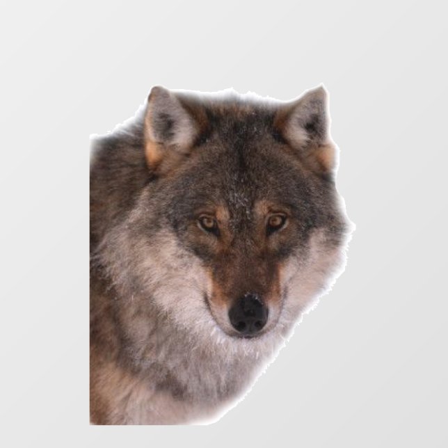 Wolf face cutout (Front)