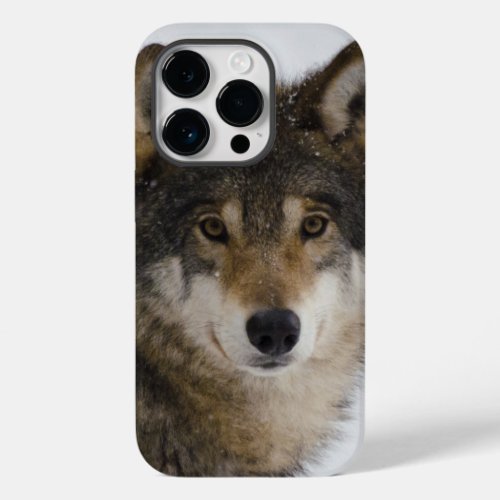 Wolf Face iPhone  iPad case