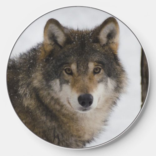 Wolf Face Wireless Charger