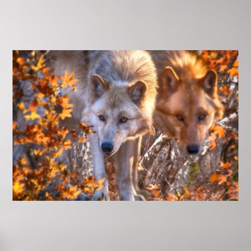 Wolf FAMILY AUTUMN Poster