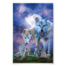 Wolf Family BETTER WORLD