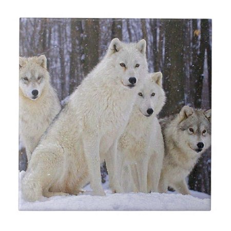 Wolf Family Ceramic Tile
