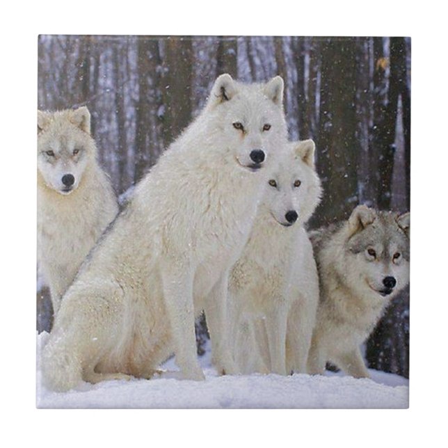 Wolf Family Ceramic Tile (Front)