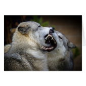 Wolf Fight Cards (Front Horizontal)