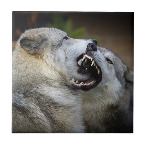 Wolf Fight Ceramic Tile