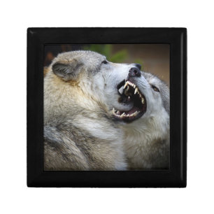 Wolf Fight Gift Box