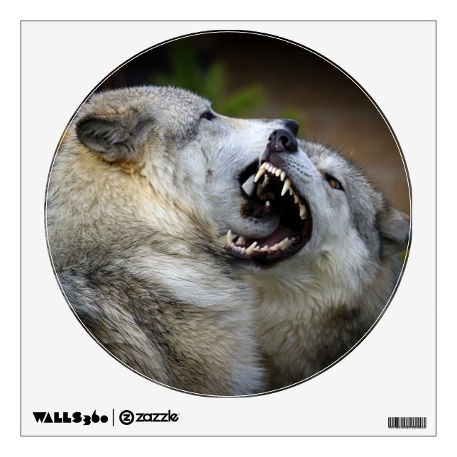 Wolf Fight Wall Sticker (Front)