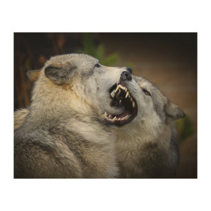 Wolf Fight Wood Wall Art