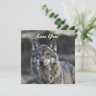 Wolf Flat Greeting Card