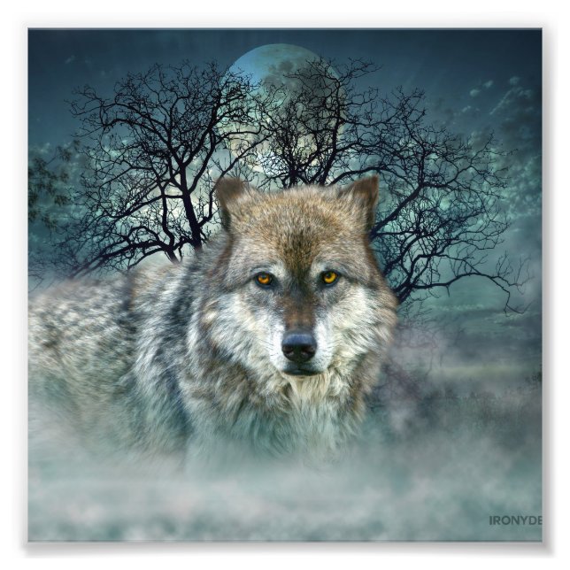 Wolf Full Moon in Fog Photo Print (Front)