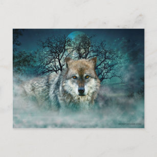 Wolf Full Moon in Fog Postcard