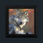 Wolf Gift Box<br><div class="desc">Wolf</div>