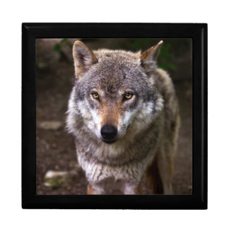 wolf gift box