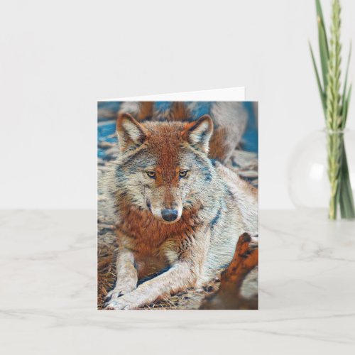 Wolf Greeting card