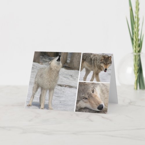 Wolf _ Greeting Card _ Blank Personalize It