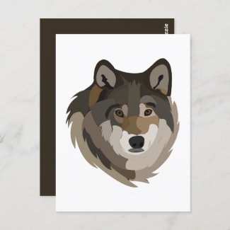 Wolf Head Animal Grey Wild Wolf