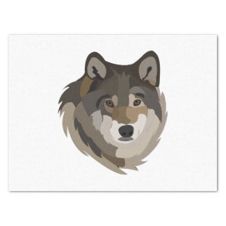 Wolf Head Animal Grey Wild Wolf