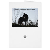 Wolf head cards (Back)