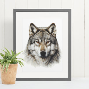 Wolf Head Portrait  Poster