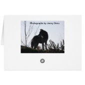 Wolf head shot cards (Back Horizontal)