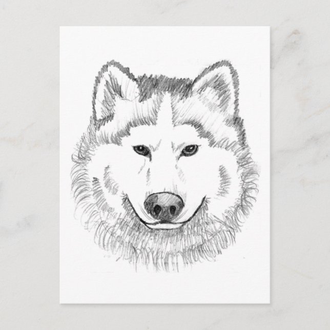 Wolf Head Sketch Postcard (Front)