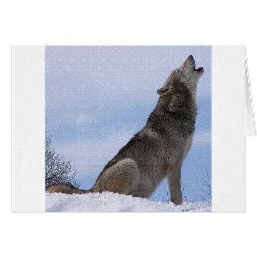 Wolf Howl Cards (Front Horizontal)