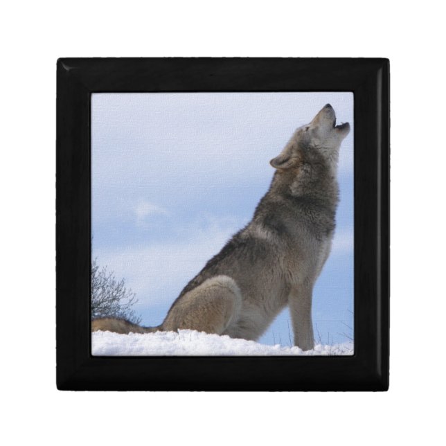 Wolf Howl Gift Box (Front)