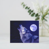 Wolf Howling at Moon (Standing Front)