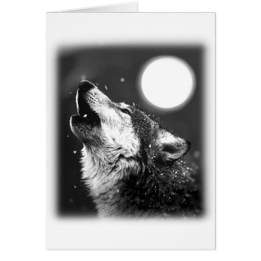 Wolf Howling at Moon Cards (Front)
