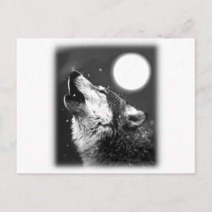 Wolf Howling at Moon Postcard